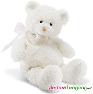 Bears 001