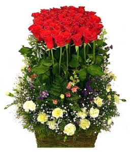 Christmas Flowers 026