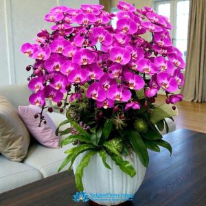 Grand opening orchid saigon