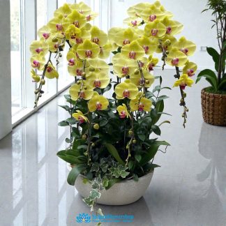 Luxury flower and orchid saigon