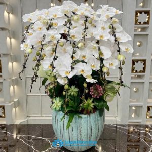 Luxury orchid arrangement saigon