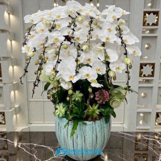 Luxury orchid arrangement saigon
