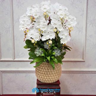 orchid delivery saigon