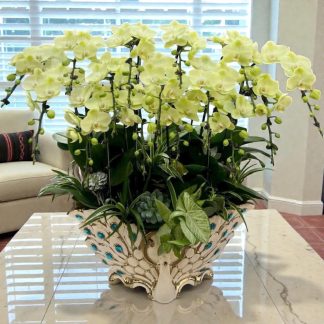 Saigon flower delivery orchids
