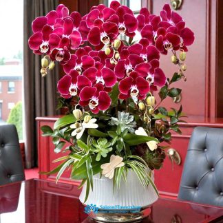 Same day orchid delivery saigon