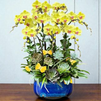 Yellow orchid delivery saigon